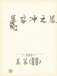 慕容冲之凤凰于飞封面