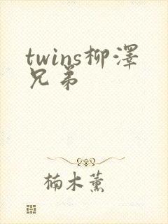 twins柳泽兄弟封面