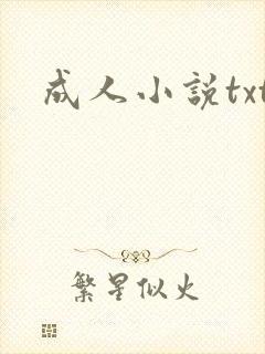 成人小说txt封面