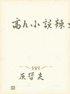 高h小说辣文封面