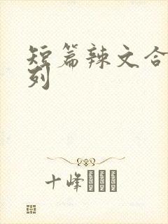 短篇辣文合集系列