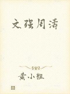 文强周涛