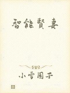 智能贤妻封面
