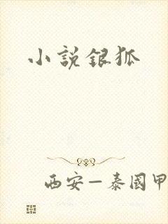 小说银狐