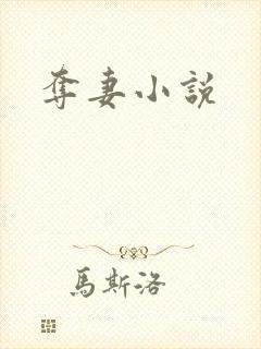 夺妻小说
