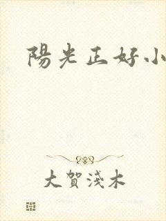 阳光正好小说