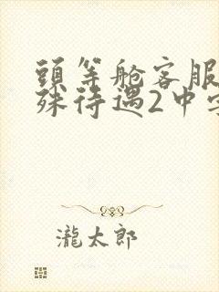 头等舱客服的特殊待遇2中字