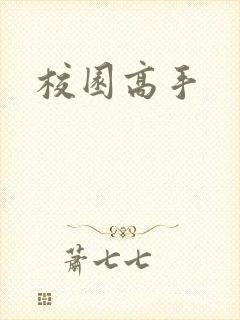 校园高手