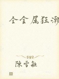 全金属狂潮小说