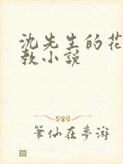 沈先生的花式管教小说