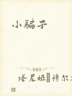 小骗子