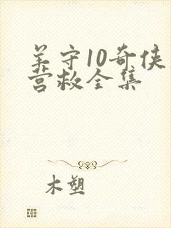 羊守10奇侠大营救全集封面