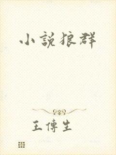 小说狼群封面