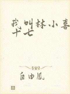 我叫林小喜今年十七