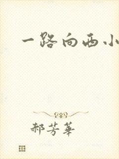 一路向西小说