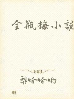 金瓶梅小说在线