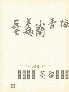 反差小青梅小说笔趣阁