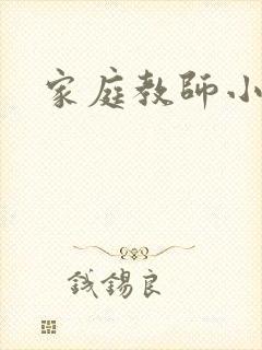 家庭教师小说封面