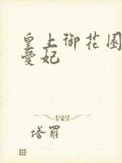 皇上御花园中要爱妃封面