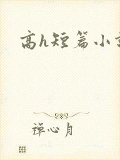 高h短篇小说