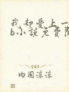 我却爱上一个sb小说免费阅读无弹窗封面