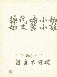 搡我娇小嫩苞又嫩又紧小说