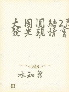 大团圆结2闪闪发光亲情会封面