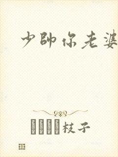 少帅你老婆