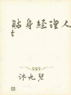 贴身经理人txt封面