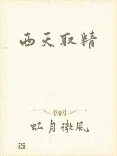 西天取精封面