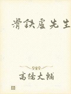 滑铁卢先生封面