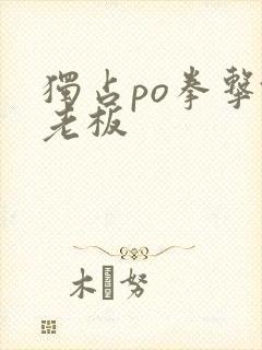 独占po拳击馆老板