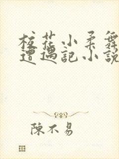 校花小柔舞蹈室遭遇记小说