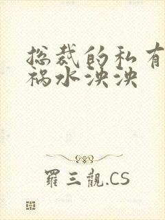 总裁的私有宝贝祸水泱泱