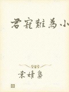 君宠难为小说
