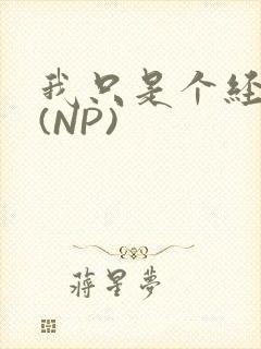 我只是个经纪人(NP)