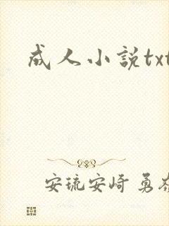 成人小说txt