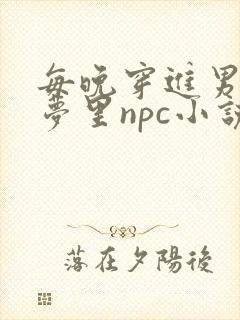 每晚穿进男神的梦里npc小说