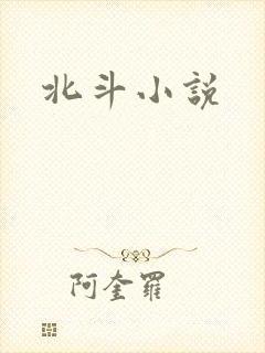 北斗小说