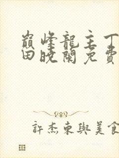巅峰龙主丁长顺田晓兰免费阅读