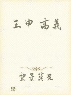 王申 高义