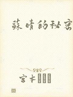 苏晴的秘密小说