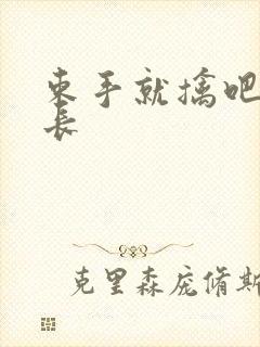 束手就擒吧韩队长封面