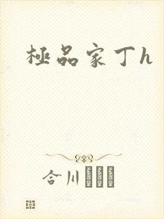 极品家丁h