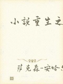 小说重生之官道