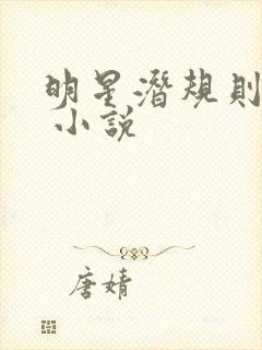 明星潜规则之皇 小说封面