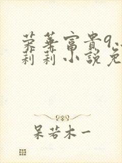 荣华富贵9小王莉莉小说免费阅读