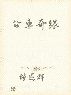 公车奇缘封面