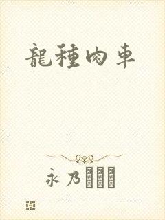 龙种肉车封面