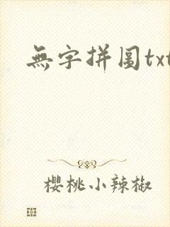 无字拼图txt封面
